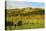 Kropsburg Castle and Vineyard Landscape-Jochen Schlenker-Stretched Canvas