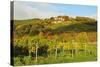 Kropsburg Castle and Vineyard Landscape-Jochen Schlenker-Stretched Canvas