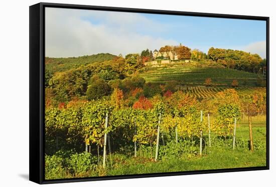 Kropsburg Castle and Vineyard Landscape-Jochen Schlenker-Framed Stretched Canvas