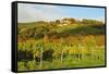 Kropsburg Castle and Vineyard Landscape-Jochen Schlenker-Framed Stretched Canvas