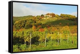 Kropsburg Castle and Vineyard Landscape-Jochen Schlenker-Framed Stretched Canvas