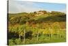 Kropsburg Castle and Vineyard Landscape-Jochen Schlenker-Stretched Canvas