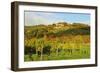 Kropsburg Castle and Vineyard Landscape-Jochen Schlenker-Framed Photographic Print