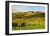 Kropsburg Castle and Vineyard Landscape-Jochen Schlenker-Framed Photographic Print