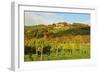 Kropsburg Castle and Vineyard Landscape-Jochen Schlenker-Framed Photographic Print