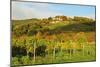 Kropsburg Castle and Vineyard Landscape-Jochen Schlenker-Mounted Photographic Print