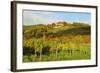 Kropsburg Castle and Vineyard Landscape-Jochen Schlenker-Framed Photographic Print