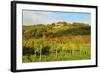 Kropsburg Castle and Vineyard Landscape-Jochen Schlenker-Framed Photographic Print