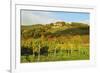 Kropsburg Castle and Vineyard Landscape-Jochen Schlenker-Framed Photographic Print