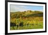 Kropsburg Castle and Vineyard Landscape-Jochen Schlenker-Framed Photographic Print