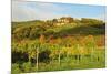 Kropsburg Castle and Vineyard Landscape-Jochen Schlenker-Mounted Photographic Print