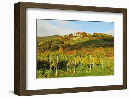 Kropsburg Castle and Vineyard Landscape-Jochen Schlenker-Framed Photographic Print