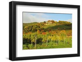 Kropsburg Castle and Vineyard Landscape-Jochen Schlenker-Framed Photographic Print