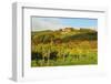 Kropsburg Castle and Vineyard Landscape-Jochen Schlenker-Framed Photographic Print