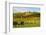 Kropsburg Castle and Vineyard Landscape-Jochen Schlenker-Framed Photographic Print