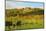 Kropsburg Castle and Vineyard Landscape-Jochen Schlenker-Mounted Photographic Print