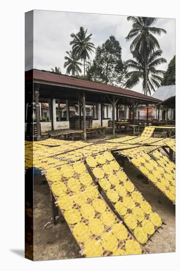 Krupuk (Kroepoek) Drying in the Sun, Bukittinggi, West Sumatra, Indonesia, Southeast Asia, Asia-Matthew Williams-Ellis-Stretched Canvas