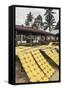 Krupuk (Kroepoek) Drying in the Sun, Bukittinggi, West Sumatra, Indonesia, Southeast Asia, Asia-Matthew Williams-Ellis-Framed Stretched Canvas