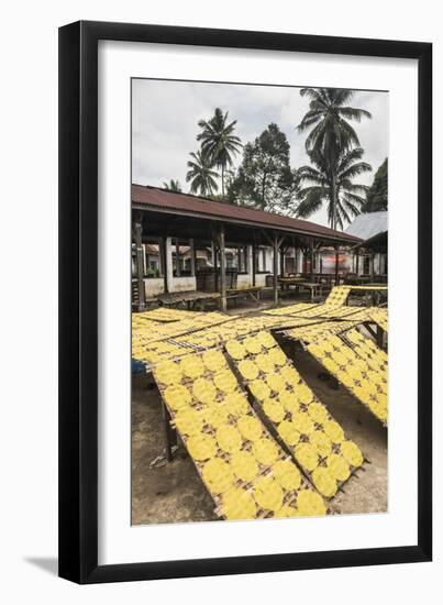 Krupuk (Kroepoek) Drying in the Sun, Bukittinggi, West Sumatra, Indonesia, Southeast Asia, Asia-Matthew Williams-Ellis-Framed Photographic Print