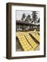 Krupuk (Kroepoek) Drying in the Sun, Bukittinggi, West Sumatra, Indonesia, Southeast Asia, Asia-Matthew Williams-Ellis-Framed Photographic Print