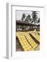 Krupuk (Kroepoek) Drying in the Sun, Bukittinggi, West Sumatra, Indonesia, Southeast Asia, Asia-Matthew Williams-Ellis-Framed Photographic Print