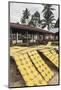 Krupuk (Kroepoek) Drying in the Sun, Bukittinggi, West Sumatra, Indonesia, Southeast Asia, Asia-Matthew Williams-Ellis-Mounted Photographic Print