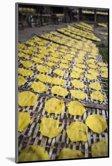 Krupuk (Kroepoek) Production, Bukittinggi, West Sumatra, Indonesia, Southeast Asia, Asia-Matthew Williams-Ellis-Mounted Photographic Print