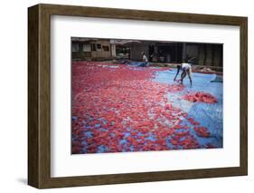 Krupuk (Kroepoek) Production, Bukittinggi, West Sumatra, Indonesia, Southeast Asia, Asia-Matthew Williams-Ellis-Framed Photographic Print