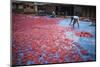 Krupuk (Kroepoek) Production, Bukittinggi, West Sumatra, Indonesia, Southeast Asia, Asia-Matthew Williams-Ellis-Mounted Photographic Print