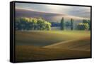 Canvas Black
