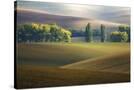 Stretched Canvas