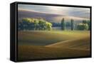 Canvas Black