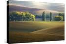 Stretched Canvas