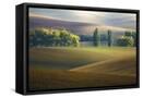Framed Canvas