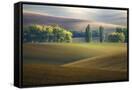 Canvas Black