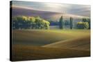 Stretched Canvas