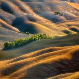 Fields...-Krzysztof Browko-Photographic Print