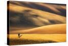 Stretched Canvas