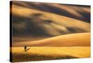 Stretched Canvas