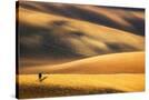 Stretched Canvas