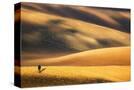 Stretched Canvas