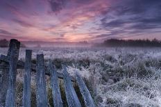 Dawn of Bialowieza Meadows-Krzysztof Lorant-Photographic Print