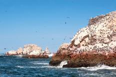 Ballestas Islands, Paracas National Reserve. the Very First Marine Conservation Center in Peru, Ref-Ksenia Ragozina-Framed Stretched Canvas