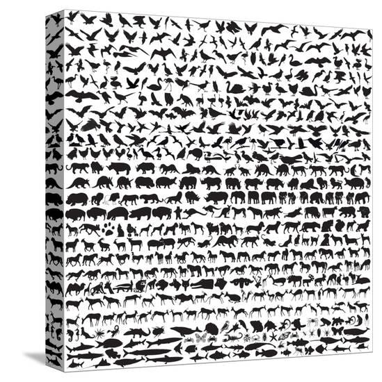 Stretched Canvas Print, , large