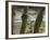 Kuang Si Falls, Laos-Gavriel Jecan-Framed Photographic Print