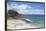 Kuaotunu Beach, Coromandel Peninsula, Waikato, North Island, New Zealand, Pacific-Ian-Framed Photographic Print