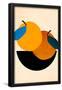 Essential Black