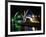 Kubitschek Bridge At Night With Colored Lighting-ccalmons-Framed Photographic Print