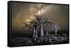 Kubu Island in Botswana-2630ben-Framed Stretched Canvas