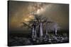 Kubu Island in Botswana-2630ben-Stretched Canvas